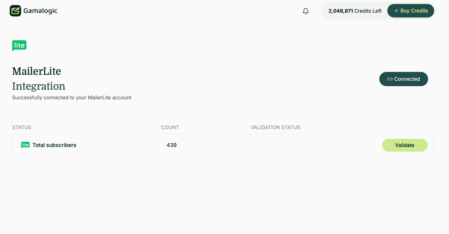 Mailerlite Subscribers