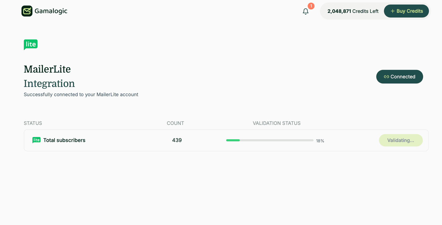 Mailerlite Subscribers
