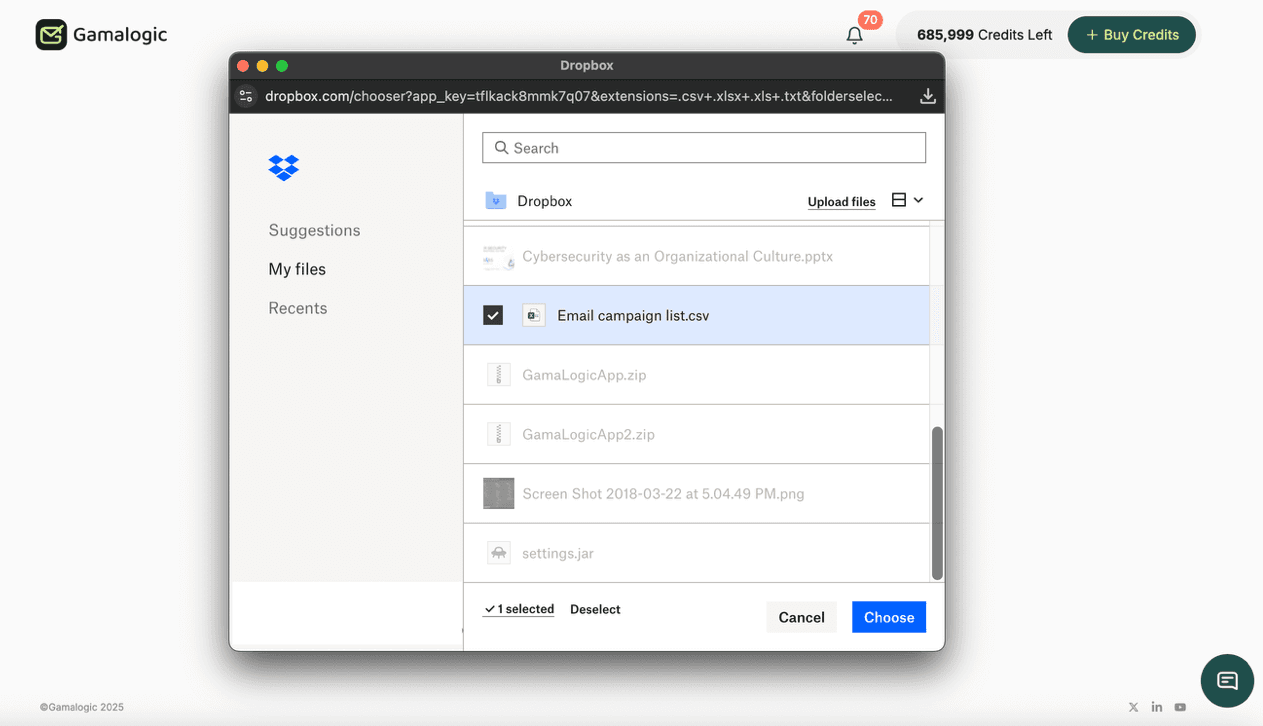View Dropbox Files