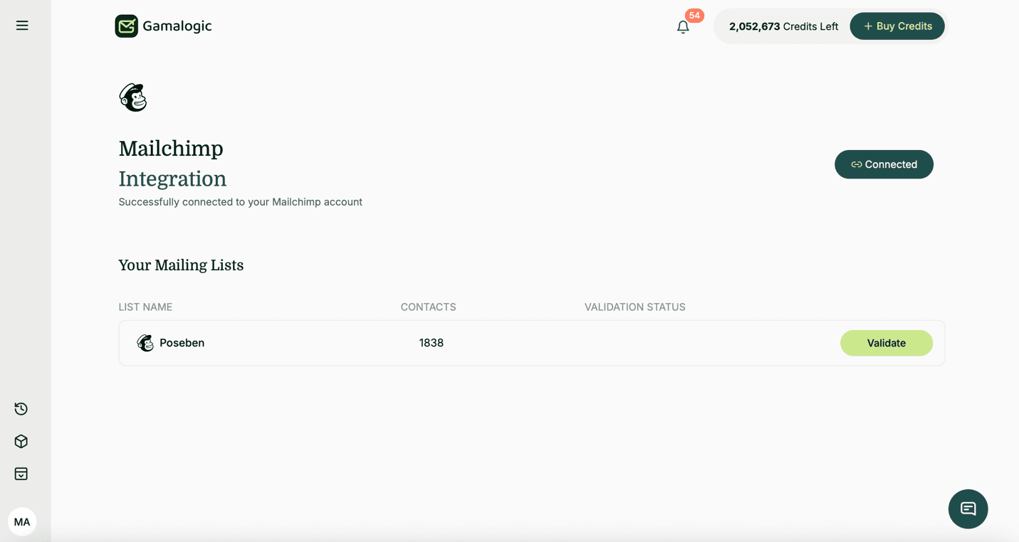 Mailchimp Audience