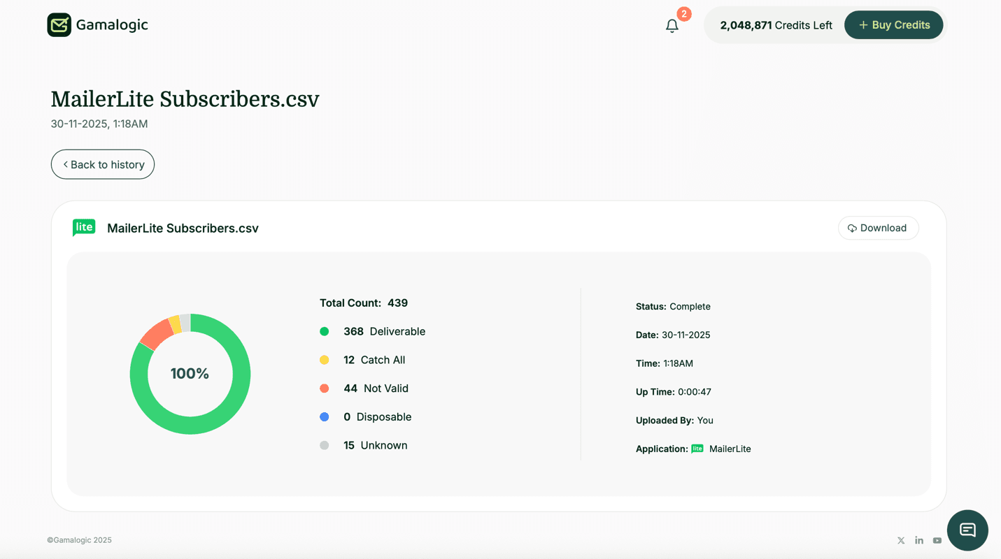 Mailerlite Results